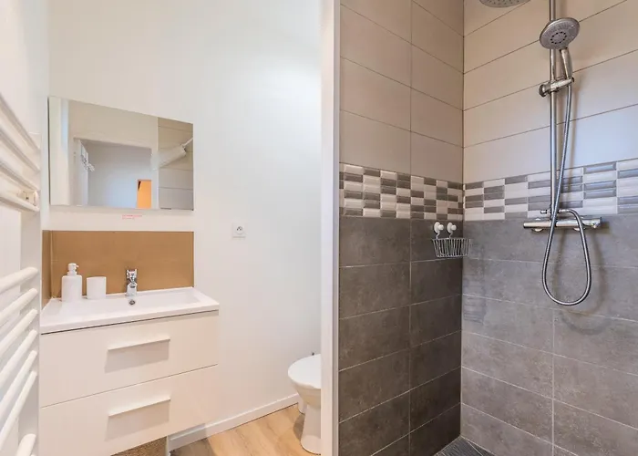 Le Relais De La Poste 6ch 6 Sdb, 12 Pers Centre Fibre Roubaix